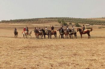 عين الجمعة تحتفل بموسمها السنوي سيدي شباني