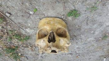 العثور على جمجمة وعظام بشرية بمنطقة خلاء بمكناس