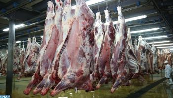 هذه أسعار اللحوم والبيض والقطاني بأسواق جهة فاس مكناس