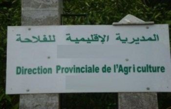 المديرية الجهوية للفلاحة: التساقطات المطرية الأخيرة تنعش القطاع الفلاحي بجهة مكناس- تافيلالت
