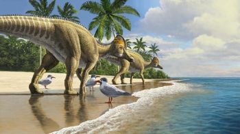 اكتشاف علمي هائل : علماء يعثرون على بقايا ديناصور عاش قبل 66 مليون سنة بالدارالبيضاء
