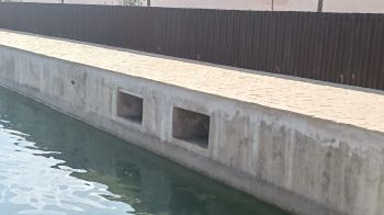 نباتات تطفو على سطح صهريج السواني والحلول الممكنة لكي لا تتعفن مياهه