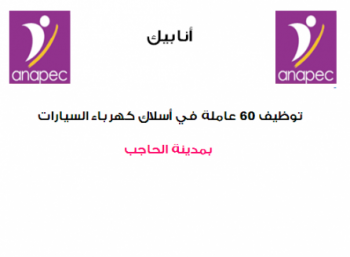الإعلان عن توظيف 60 عاملة في أسلاك كهرباء السيارات بمدينة الحاجب