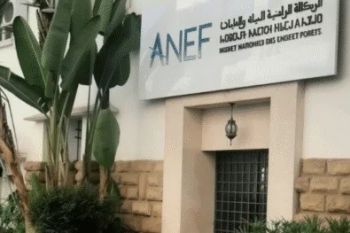 مكناس: الوكالة الوطنية للمياه والغابات توضح حقيقة التعويضات المالية للجمعيات الغابوية