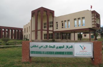 المركز الجهوي للبحث الزراعي لمكناس يحتضن اللقاء الختامي للمشروع المتوسطي “جبلهن”
