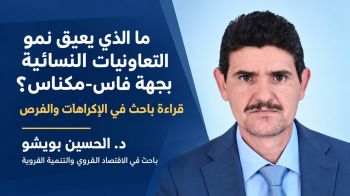 ما الذي يعيق نمو التعاونيات النسائية بجهة فاس-مكناس ؟ قراءة باحث في الإكراهات والفرص