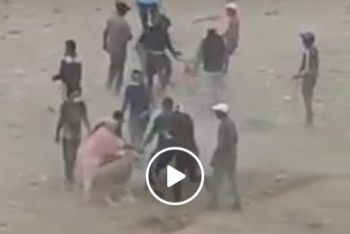على خلفية فيديو