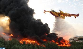 حريق غابوي بإقليم تاونات يخلف مصرع شخص ويأتي على أزيد من 33 هكتار