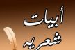 مهما عاشوا لن يقبروا شعري .... !