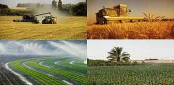 إنجاز 170 مشروعا في إطار المخطط الجهوي الفلاحي لجهة مكناس تافيلالت 2009-2020 بقيمة تصل إلى 11 مليار درهم