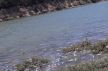 إعدام نهر أم الربيع في زمن كورونا (صور)