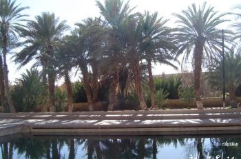 التنمية الشاملة والمندمجة لمناطق الواحات قاطرة لتحقيق الإقلاع السوسيو-اقتصادي بإقليم الرشيدية