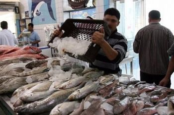 غلاء أسعار السمك يخيم على الاسواق المغربية مع بداية شهر رمضان مكناس نموذجا