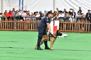 تسجيل إقبال جماهيري كثيف يقدر بمئات الآلاف على الأيام المفتوحة للأمن الوطني بفاس 