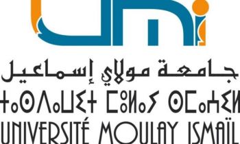 بعد إعفاء أحمد موشطاشي.. تعيين هذا الأستاذ في منصب رئيس بالنيابة لجامعة مولاي إسماعيل