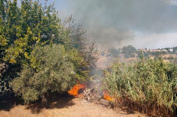 حريق يلتهم الغطاء النباتي لحوض وادي كيتان بمكناس (صور)