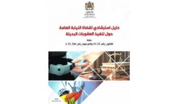 بعد دخولها حيز التنفيذ.. رئاسة النيابة العامة تصدر دليلا استرشاديا حول تطبيق العقوبات البديلة