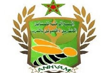 الجمعية الوطنية للعشابين المخضرمين بالمغرب تنظم بمكناس يوما دراسيا للتعريف بأهمية الأعشاب والرقية الشرعية