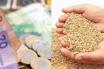 المجلس العلمي الأعلى يرفع من مقدار زكاة الفطر لعام 1447هـ/ 2026م