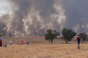 بالصور : حريق ضخم يتلهم ضيعة فلاحية بطريق أكوراي
