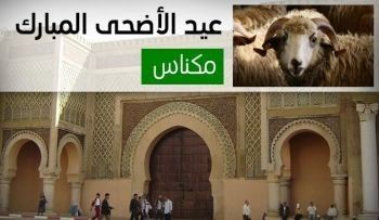 هكذا تحولت فرحة عيد الأضحى عند ساكنة مكناس إلى محنة