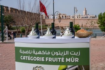 الملتقى الدولي للفلاحة.. جهة فاس-مكناس تتألق في المباراة الوطنية لجودة زيت الزيتون البكر الممتازة لموسم 2025/2026