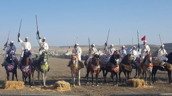 اختتام فعاليات مهرجان عين كرمة واد الرمان للفروسية التقليدية (صور)