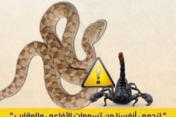 وزارة الصحة تحصي 50 نوعا من العقارب و30 نوعا من الثعابين بالمغرب هذه أخطرها