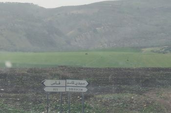 الطريق إلى قرية بني معدان جماعة شرقاوة وأحواز المولى إدريس