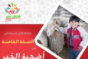 جمعية فاعل خير مكناس تنظم النسخة الخامسة من أضحية الخير