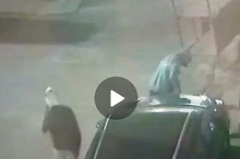 اعتقال جانحان تورطا في سرقة