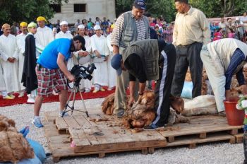 مدينة الحاجب تستعد لاحتضان فعاليات الدورة السابعة لمهرجان الدزازة 