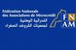 الجمعية الإسماعيلية الكبرى تنظم بمكناس معـرض المنتوجات لفائدة المستفيدات من القـروض الصغرى