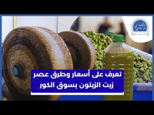 هكذا يتم استخراج أجود زيت الزيتون بضواحي الحاجب 