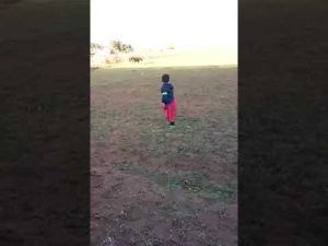 شاهد فيديو