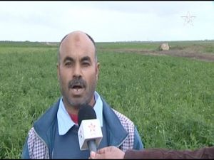 تساقطات مطرية تنعش آمال فلاحين مغاربة .. وتطرد