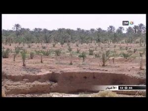 الفرشة المائية بالراشيدية