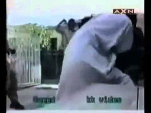 أقوى عشر هجمات للأسود ضد البشر