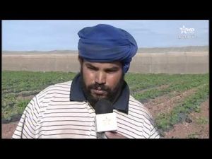 تراجع الفرشات المائية بسبب تاخر التساقطات المطرية