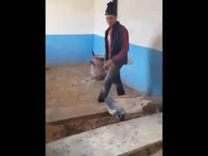شوهة 2016 تلاميذ الجبال يجلسون فوق صناديق وبردعة الحمير بمدرستهم
