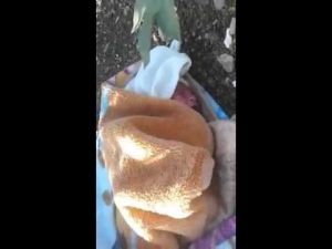 طفل متخلى عنه تم العثور عليه بحي الخربة - طنجة - YouTube