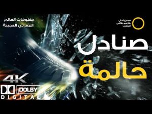 برنامج مخلوقات العالم المغربي العجيبة : الحلقة السادسة