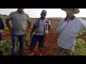 حول إنتاج الدلاع بمنطقة البريدية بجماعة مجاط ضواحي مدينة مكناس