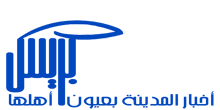 logo meknes press