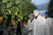 هذا ما قام به وزير الفلاحة خلال زيارته لسوق الخضر والفواكه بالجملة بإنزكان وضيعات إنتاج الطماطم
